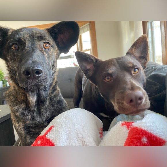 Meet your Posher, Alexis - Picture 2 of 9